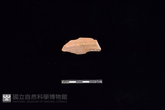 陶片藏品圖，第2張