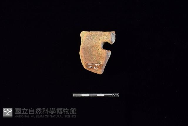 陶片藏品圖，第2張