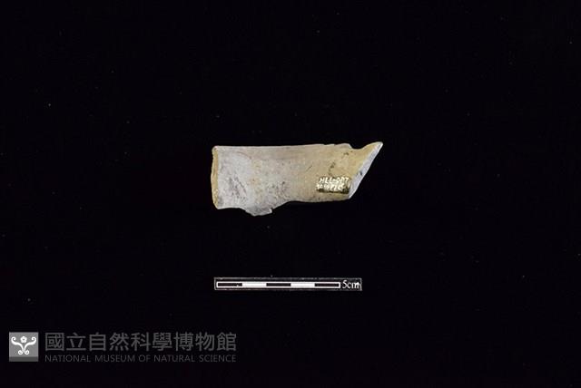 Accession Number:HLL-D PT3034 Collection Image, Figure 2, Total 2 Figures