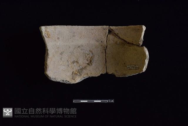 陶罐藏品圖，第2張