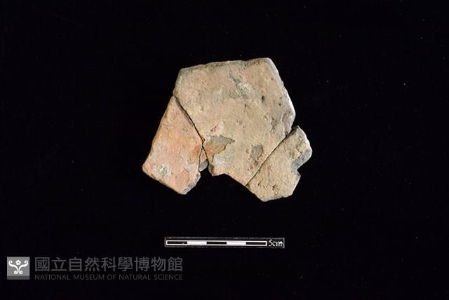 陶片藏品圖，第2張