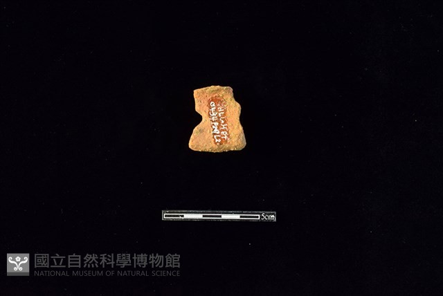陶片藏品圖，第2張