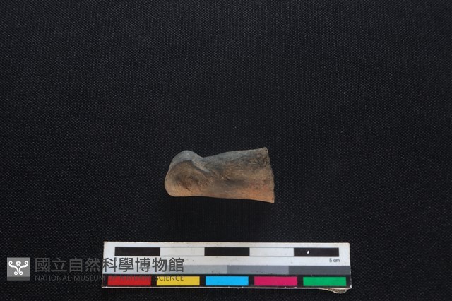 梅花鹿骨藏品圖，第2張