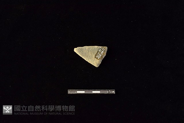 陶片藏品圖，第2張