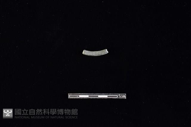 Accession Number:HLL-H PT0934 Collection Image, Figure 2, Total 2 Figures