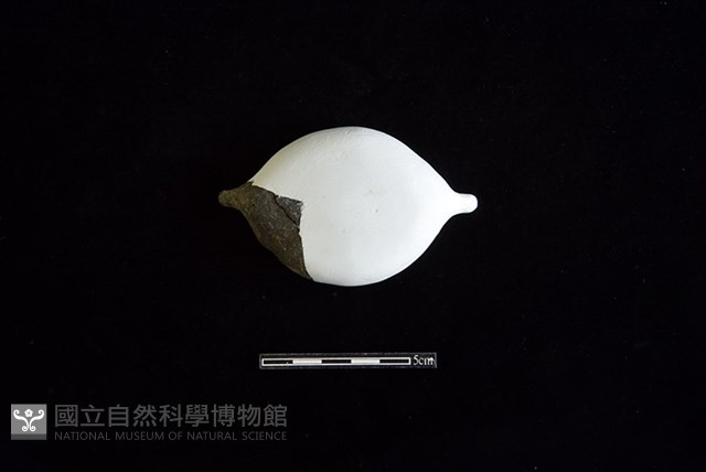 陶罐藏品圖，第2張