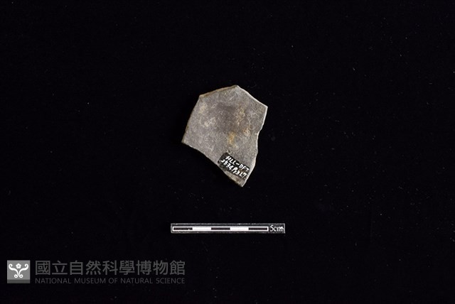 陶片藏品圖，第2張