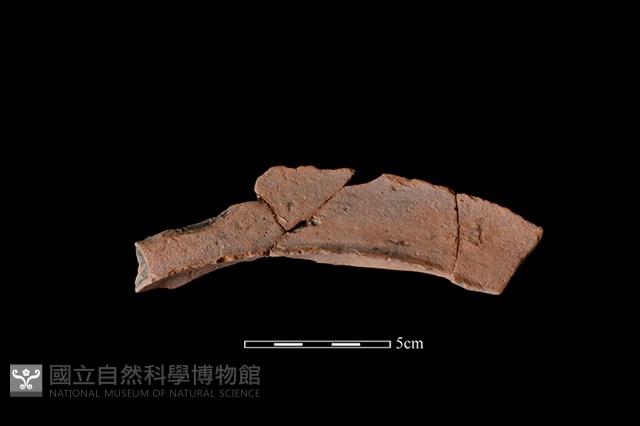 連杯形器藏品圖，第2張