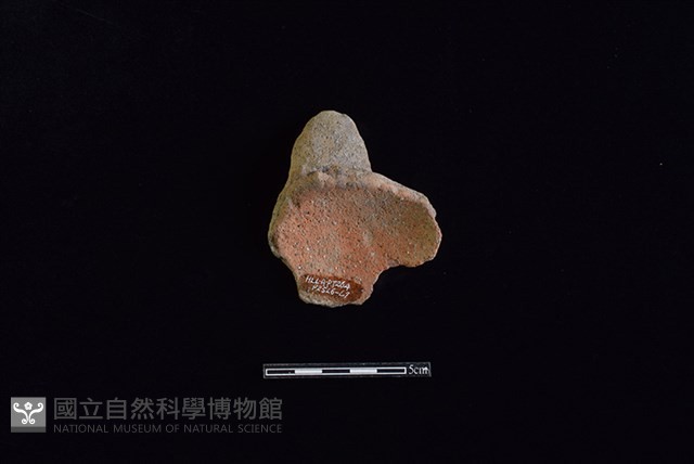 陶片藏品圖，第2張