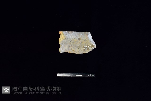 陶片藏品圖，第2張