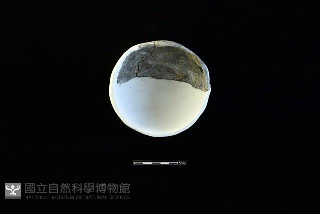 陶缽藏品圖，第2張