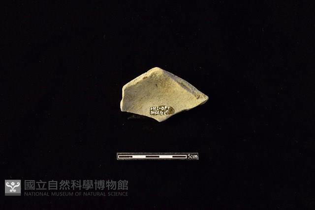 陶片藏品圖，第2張