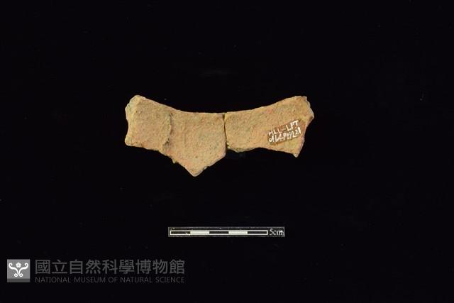 陶片藏品圖，第2張