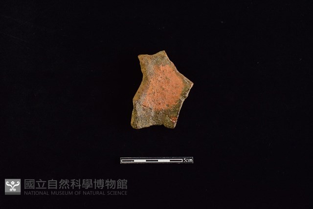 連杯形器藏品圖，第2張