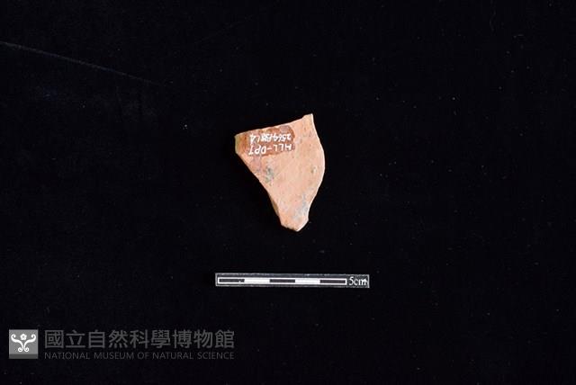 陶片藏品圖，第2張