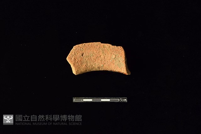 陶罐藏品圖，第2張