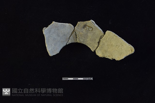 陶罐藏品圖，第2張