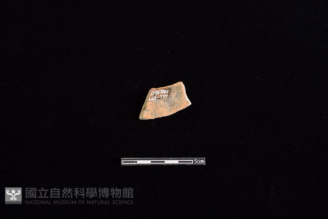 陶片藏品圖，第2張