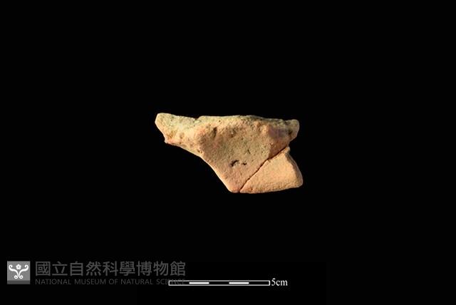 陶片藏品圖，第2張