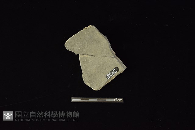 陶片藏品圖，第2張