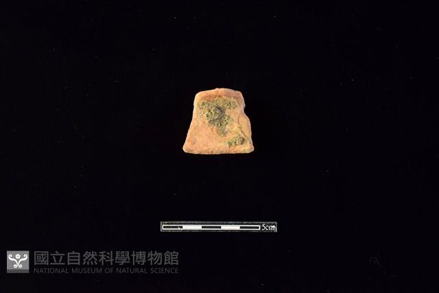 陶片藏品圖，第2張