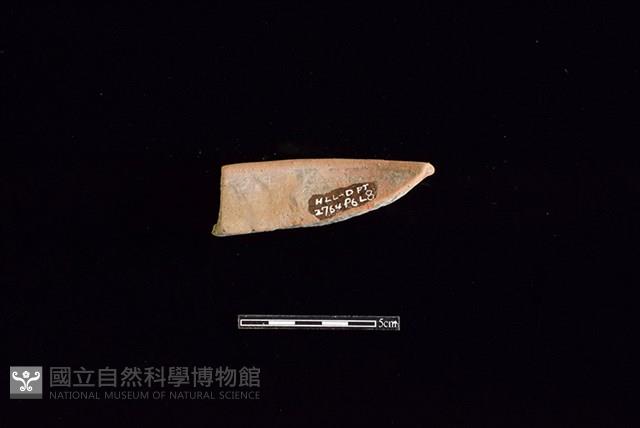 陶罐藏品圖，第2張