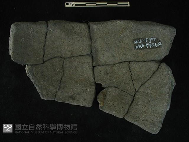 陶片藏品圖，第2張