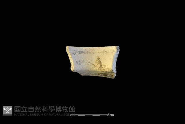 陶罐藏品圖，第2張