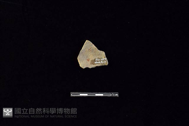 陶片藏品圖，第2張
