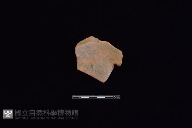 陶片藏品圖，第2張