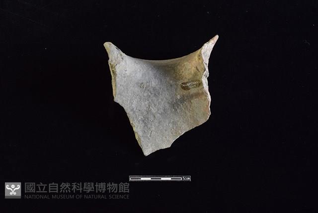 陶罐藏品圖，第2張