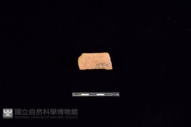 陶片藏品圖，第2張