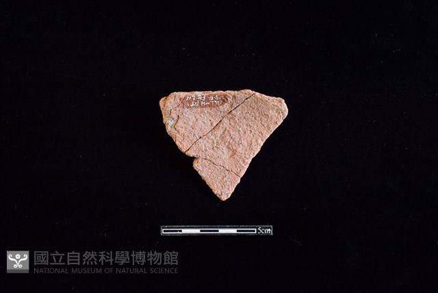 陶片藏品圖，第2張