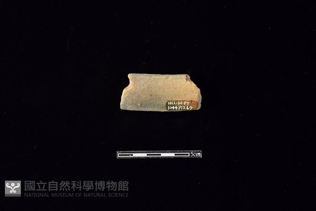 陶片藏品圖，第2張