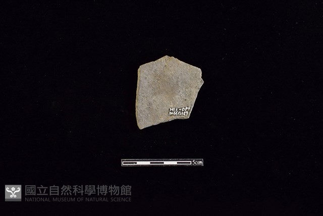 陶片藏品圖，第2張
