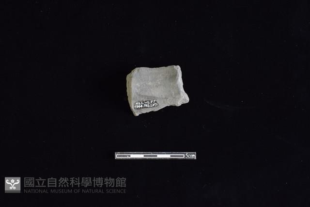 陶片藏品圖，第2張