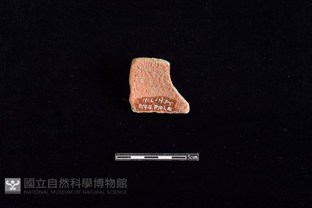 陶片藏品圖，第2張