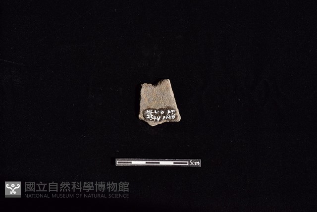 陶片藏品圖，第2張