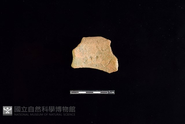 陶罐藏品圖，第2張