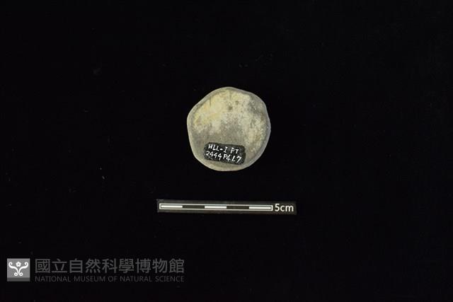 陶片藏品圖，第2張