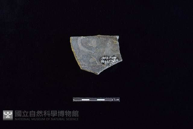 陶瓢藏品圖，第2張