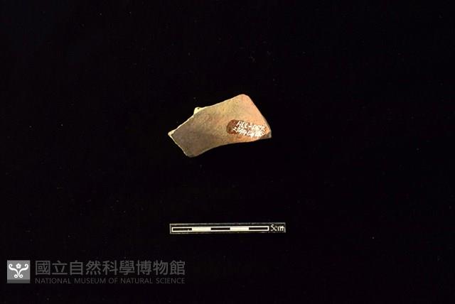 陶罐藏品圖，第2張