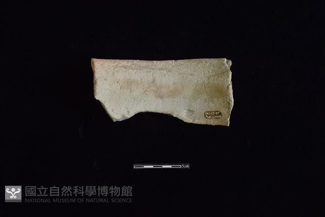 陶罐藏品圖，第2張