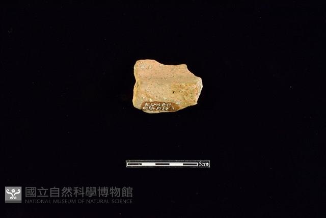 陶罐藏品圖，第2張