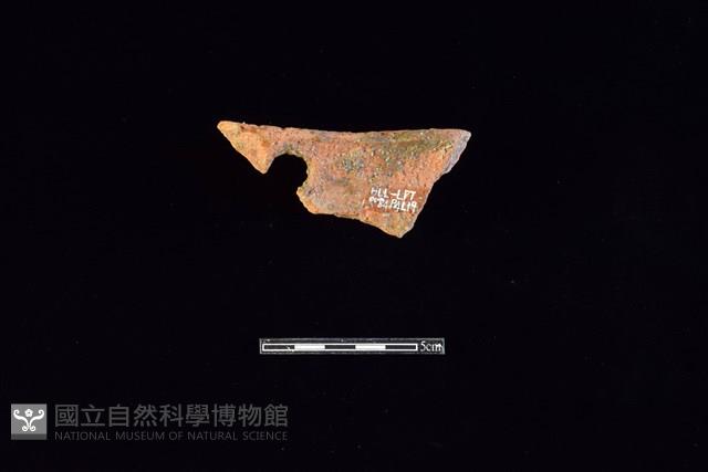 陶片藏品圖，第2張