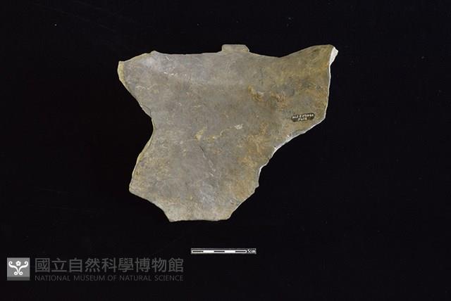 陶罐藏品圖，第2張