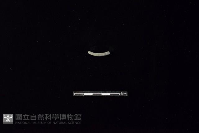 陶環藏品圖，第2張