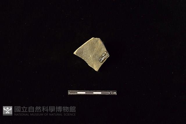 陶片藏品圖，第2張