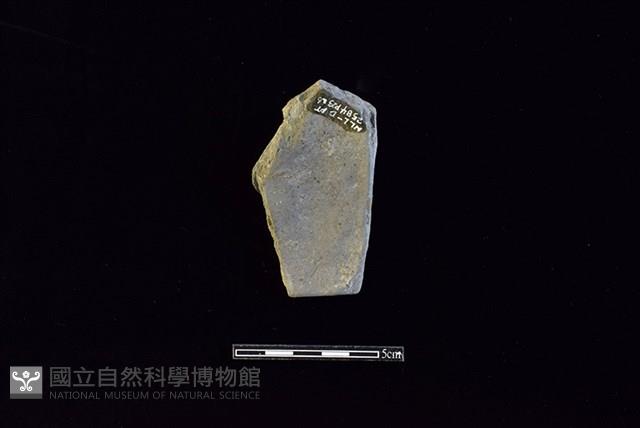 Accession Number:HLL-D PT2584 Collection Image, Figure 2, Total 2 Figures