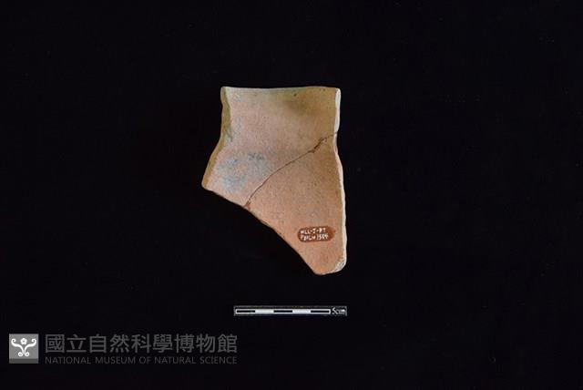 陶罐藏品圖，第2張